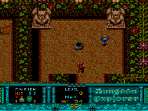 Dungeon Explorer on turbografx